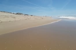 Plus de 124 km de plage de sable fin et des vagues surtout........