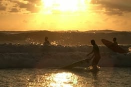 Vous avez compris ici le surf c est une philosophie