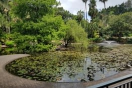 Un jardin botanique, comme dans toute ville australienne qui se respecte