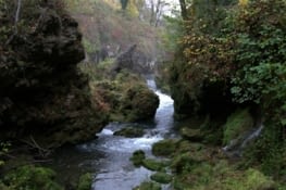 L'impression d'être dans une forêt de fées..