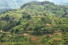 Arrivé à Goma https://en.wikipedia.org/wiki/Goma  aprés un court séjour au rwanda