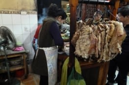 Premier resto pour manger un pho