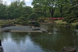 Jardin oriental du Palais