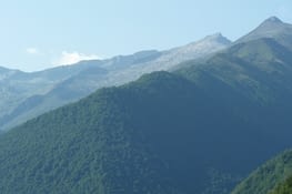 Nos efforts ont été récompensés toute la journée