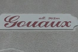 Gouaux