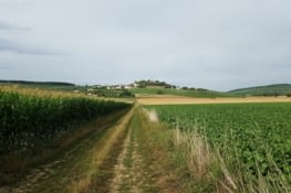 Le Pape Urbain II dominant la vallée