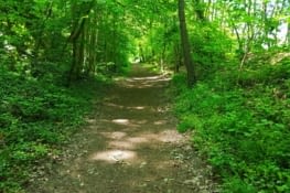 Le type de voie verte que l'on trouve parfois trèèèès long !