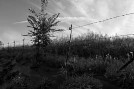 Dernière trace du camp de Damigny