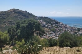 Vue pendant notre premier repas sauvage