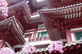 Buddha Tooth Relic Temple à Chinatown