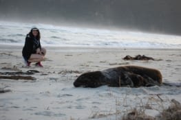 Lion de mer et Marie