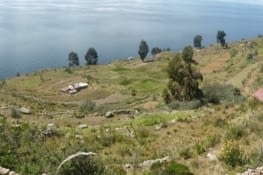 culture en terrasse a Taquilé, juste sublime