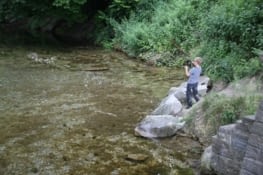 Les poissons qui nagent dans 10 cm d'eau n'ont qu'à bien se tenir !