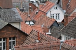des toits enchevêtrés, des ruelles étroites et tortueuses, des forêts enchanteresques.