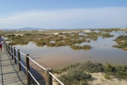 Ilha da CULATRA entre Rivière et Océan, marécages, sables, dunes, lagunes.