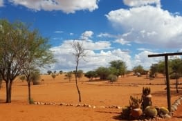 Le sable du Kalahari
