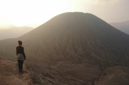 Arrivés au sommet ! / At the top !