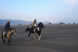 Les taxis locaux / Local taxis