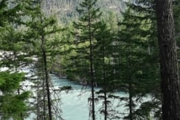 Marche en direction de la cascade