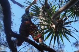 Vous aurez reconnu Daminou dans son milieu naturel...