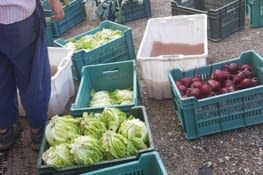 Prêts pour le marché