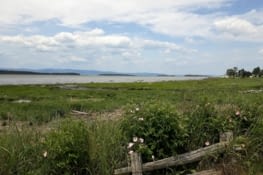 La vue sur le fleuve, de l'autre côté la région Charlevoix