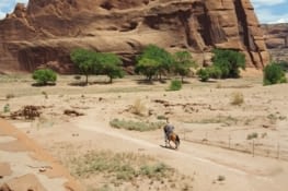 Un navajo sur son cheval qui veil sur le canyon