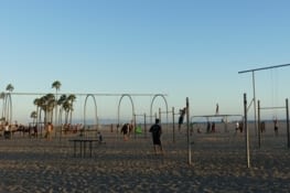 Les sportifs à Muscle beach