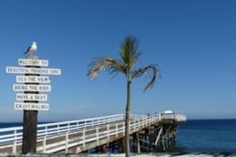 Malibu et son petit jeu de mots "Sea the view"