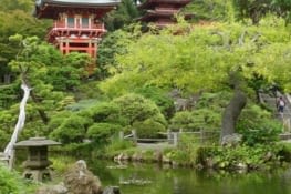 Japanese Tea Garden