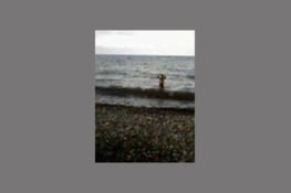 le photographe prend du recul !