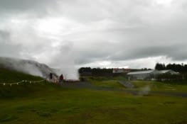 Vue d'ensemble, avec les fameuses serres à tomates.