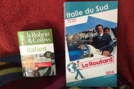 Petit tour chez le libraire... Et une couverture du Routard de circonstance !