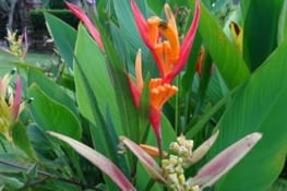 A l'intérieur du temple