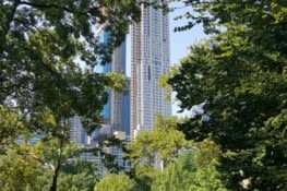 Balade dans Central Park