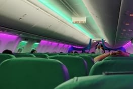 C'est très vert chez Transavia ? ambiance nightclub club ?