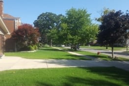 Le Quartier typique des banlieux sympa d'ici !
