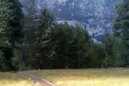 Yosemite Valley