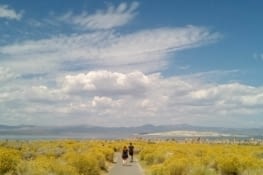 Mono lake