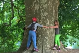 communion parfaite avec les arbres