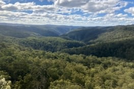 Ebor falls lookout