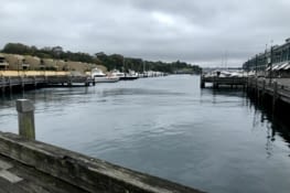 Je suis dans le quartier Woolloomooloo (avec 2 o à chaque fois)