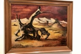 Paysage de l’outback australien