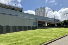 Le stade des mythiques All blacks