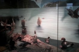 L'iage ci contre est sur le thème du film que nous avons regardé.