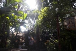 Jardin magique pour dej royal