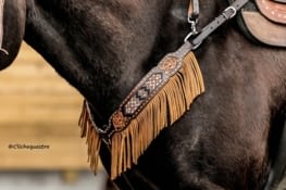 Ecurie entre monts et marées