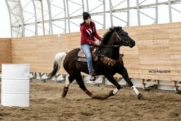 Ecurie entre monts et marées