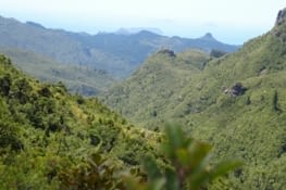 Vue montagne et océan