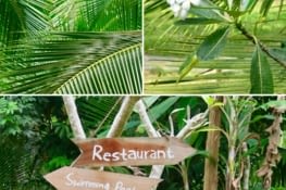 Vert divers et varié